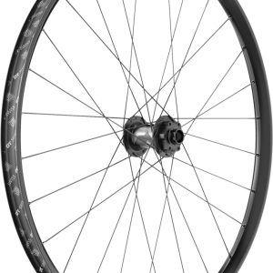 F 1900 CLASSIC Laufrad 29″ IS 30 110/20