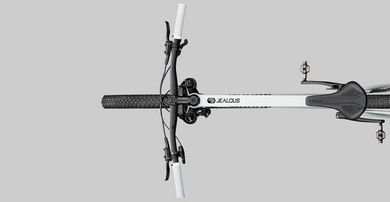 Radon Jealous AL 8.0 – Bild 4